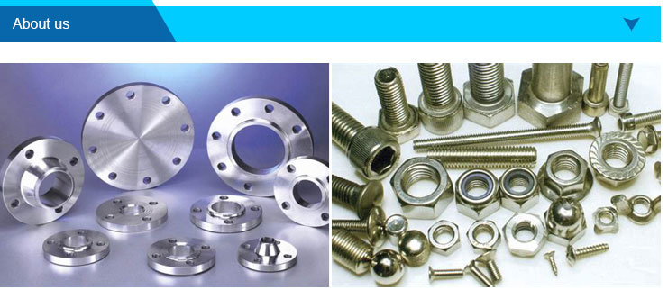 China Manufacturer High Quality Barrel Nuts and Screw