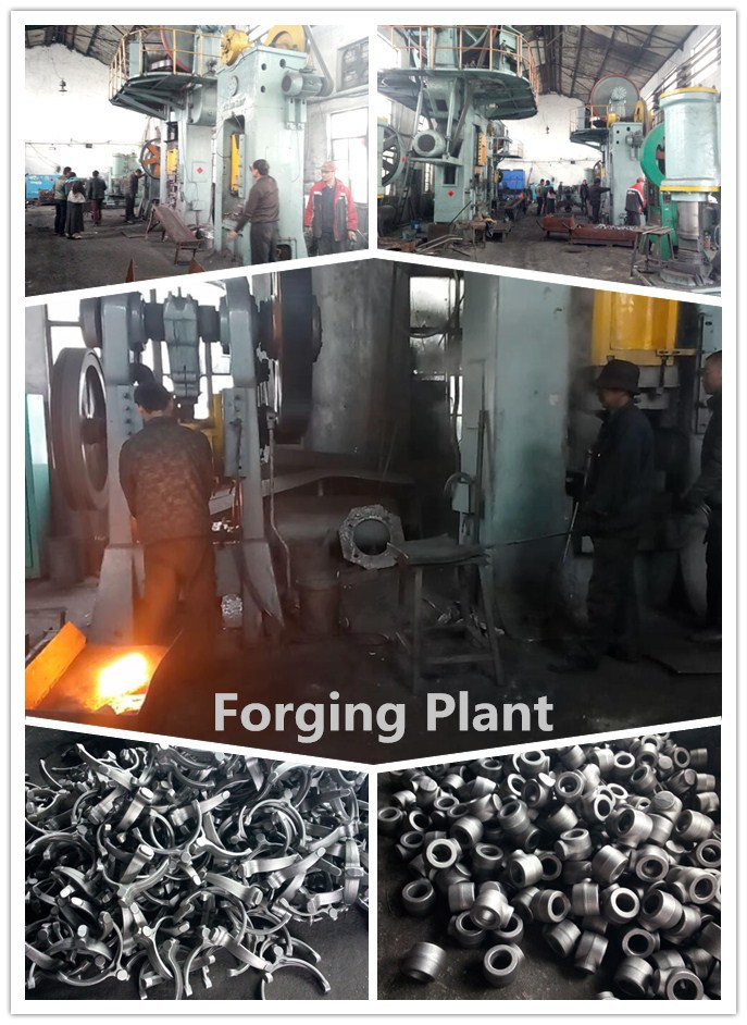 Steel Forging Part for Valve and Auto Part