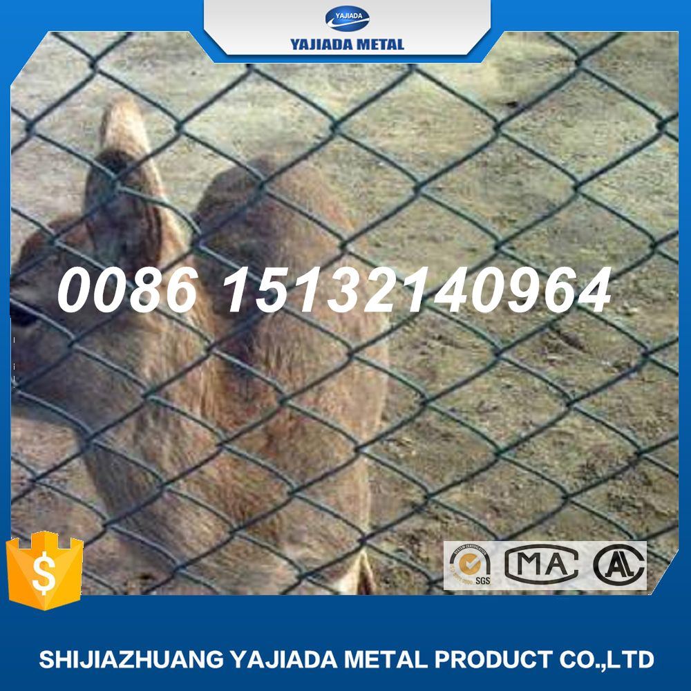 PVC Coated Wire Mesh, Wire Fence, Chain Link Fence