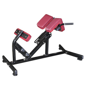 Fitness Equipment Hyperextension /Roman Chair for Back Exercise (FW-1006)