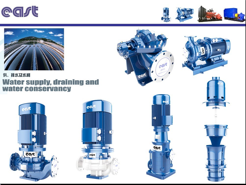 Dfwr Vertical Horizontal Centrifugal Pump with Mechanical Seal for Water Supply