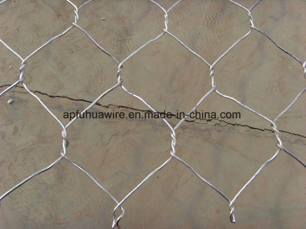 ISO 9001: 2008 Manufacturer Hot-DIP Galvanized Gabion Box