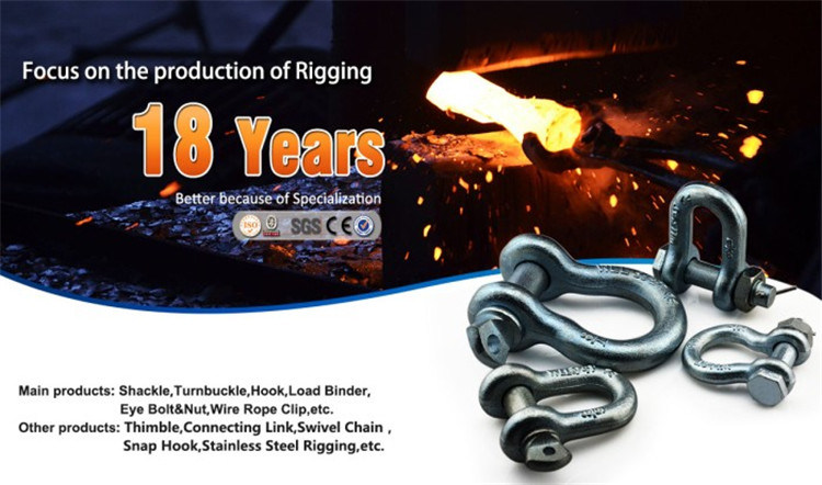 Us Type Anchor Bow Shackle G-209 Manufacturer