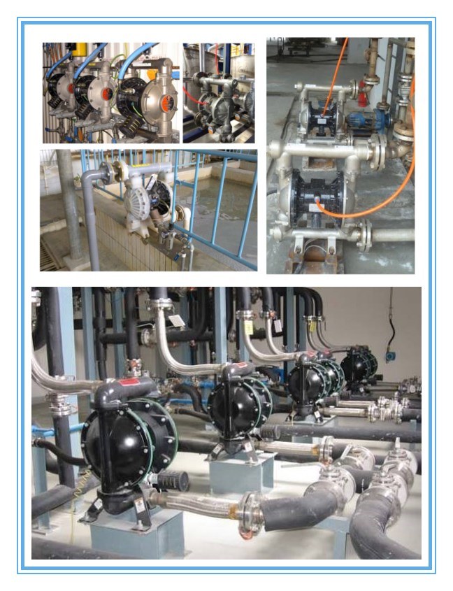 Stainless Steel Pneumatic Double Diaphragm Pump