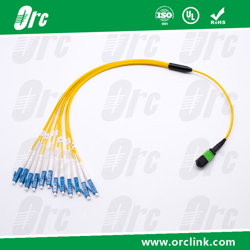 MPO-LC mm 12f/ Patchcord