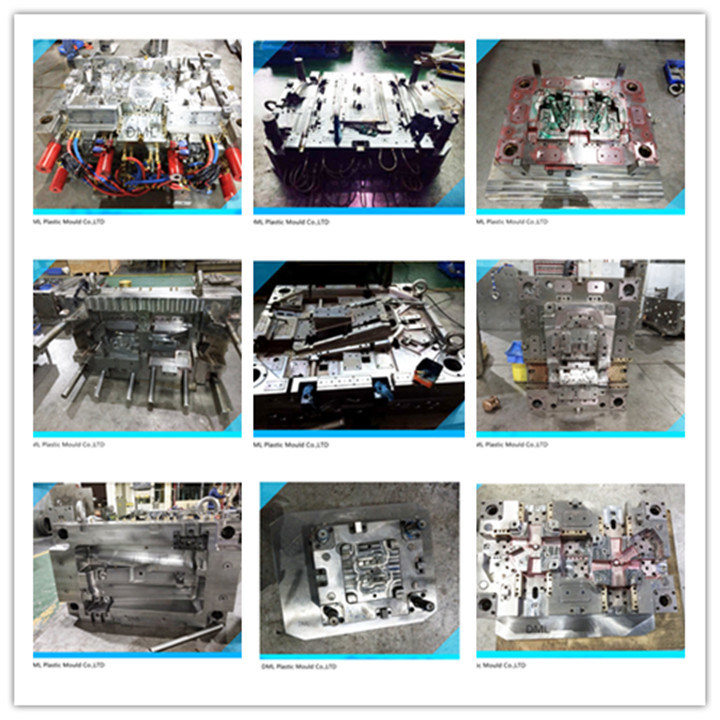 Injection Mould for Auto Engine Cover