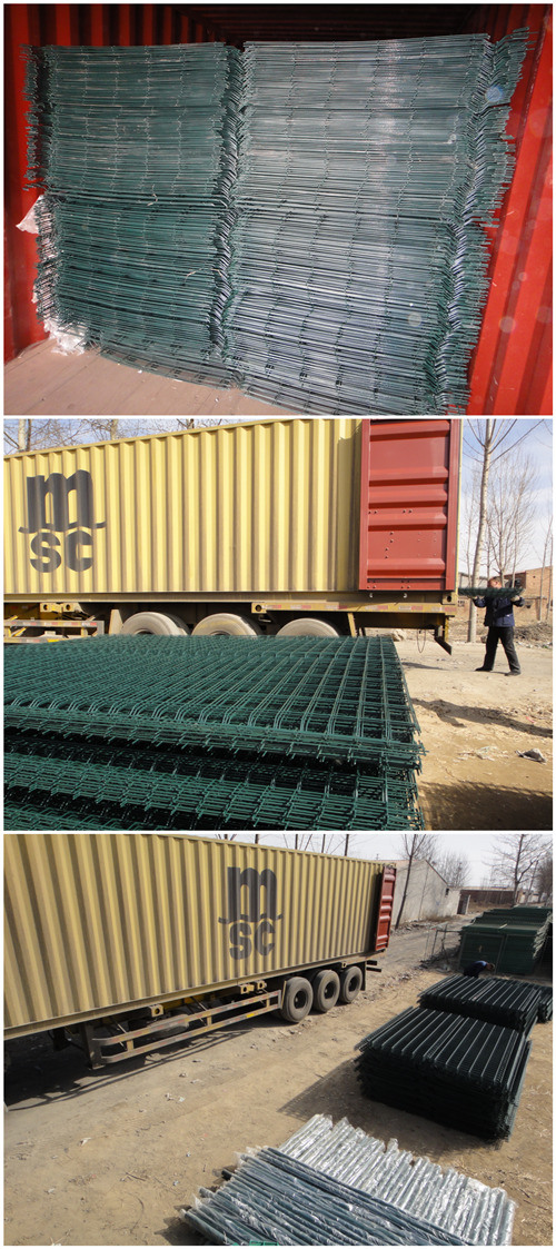 Easily Assembled China Wholesale Metal Steel Wire Mesh Fence (WWMF)