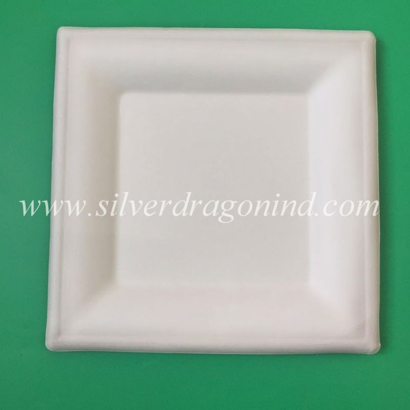 Disposable Compostable Square Paper Plate