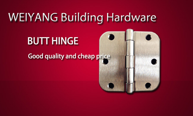 Stainless Steel Spring Door Hinge Hardware with UL