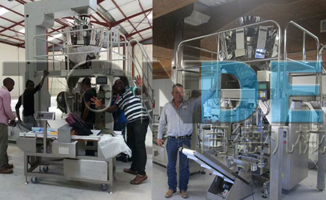 Stainless Steel Automatic Potato Chips Weighing and Packing Machine