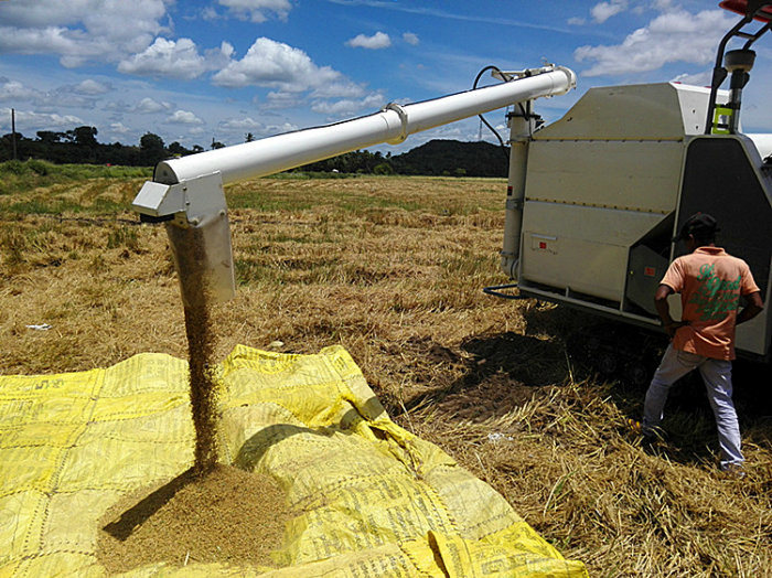 Copy Kubota 360 Degree Rice Unloading Auger Grain Combine Harvester