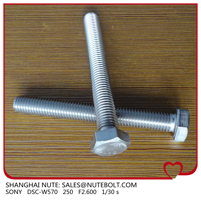 Hex Bolt Stainless Steel 304 316 DIN931 DIN933 ANSI