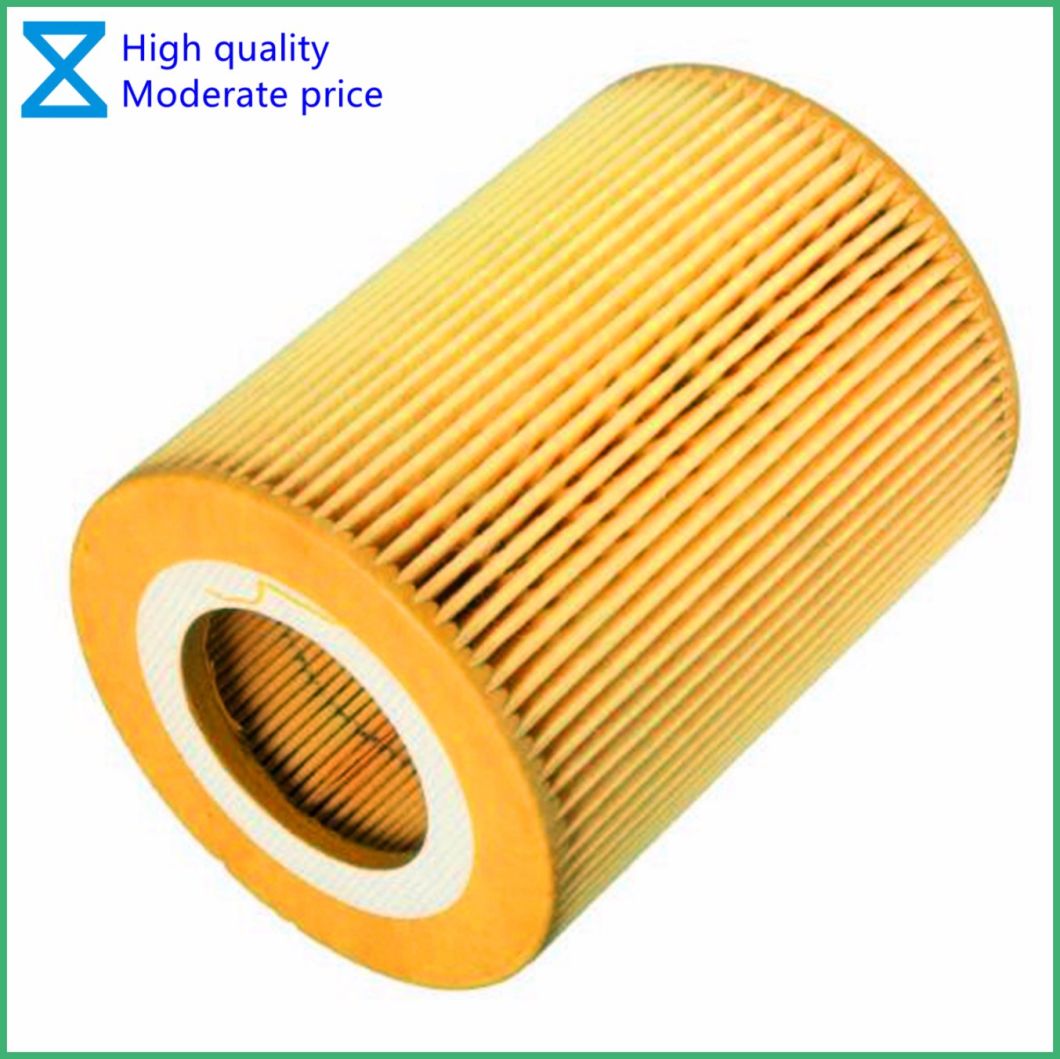 High Quality OEM/ODM Professional Factory Providing Oil Filter for BMW 3/5/7 Series