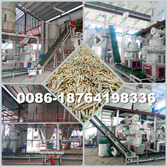 Yulong 1 Ton/Hour Sawdust Granulating Machine