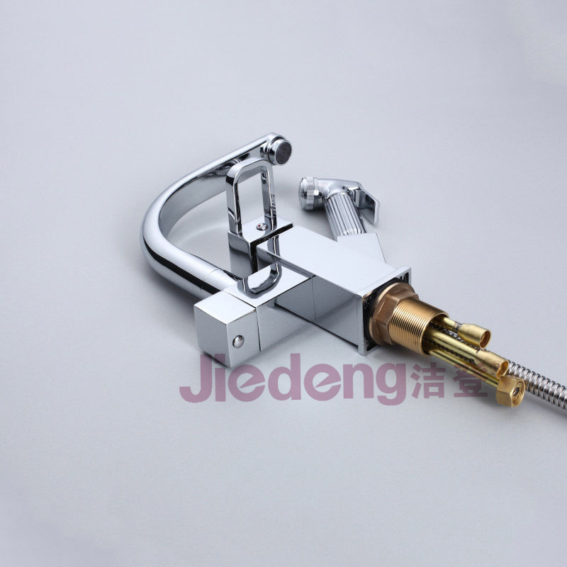 Two Handle Brass Kitchen Faucet with Pull out Hand Shower (S38)