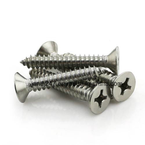 High Quality Stainless Steel 304 316 Self Tapping Screw Csk Head in Guangzhou