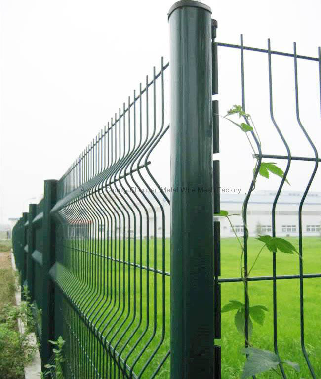 Welded Wire Mesh Euro Fencing in 50X200mm Hole Size