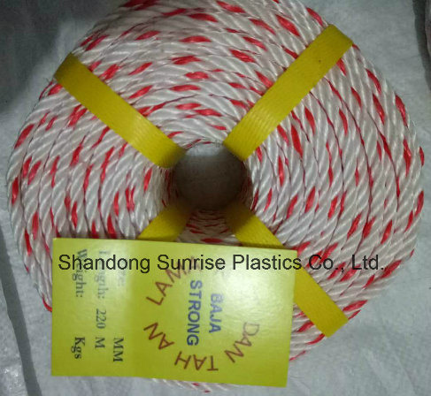 3 or 4 Strand PP Danline Rope White with Red/White with Blue & Red