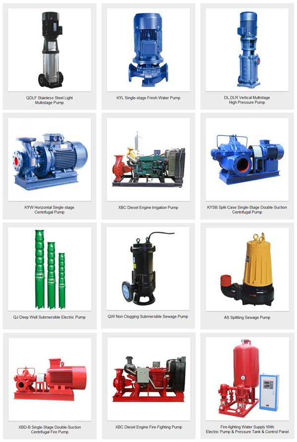 Qw Highly Efficent Sewage Submersible Pump