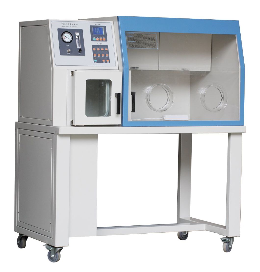 Buy Digital Laboratory Anaerobic Incubator