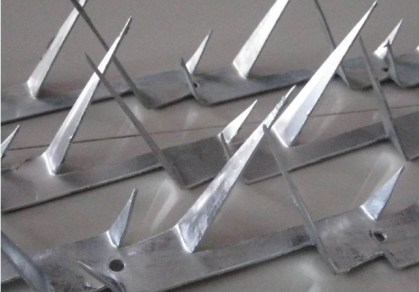 Galvanied Security Wall Razor Spikes