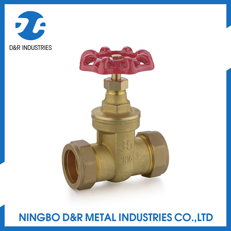 Dr 2005 Brass Union Gate Valve with Handle Wheel