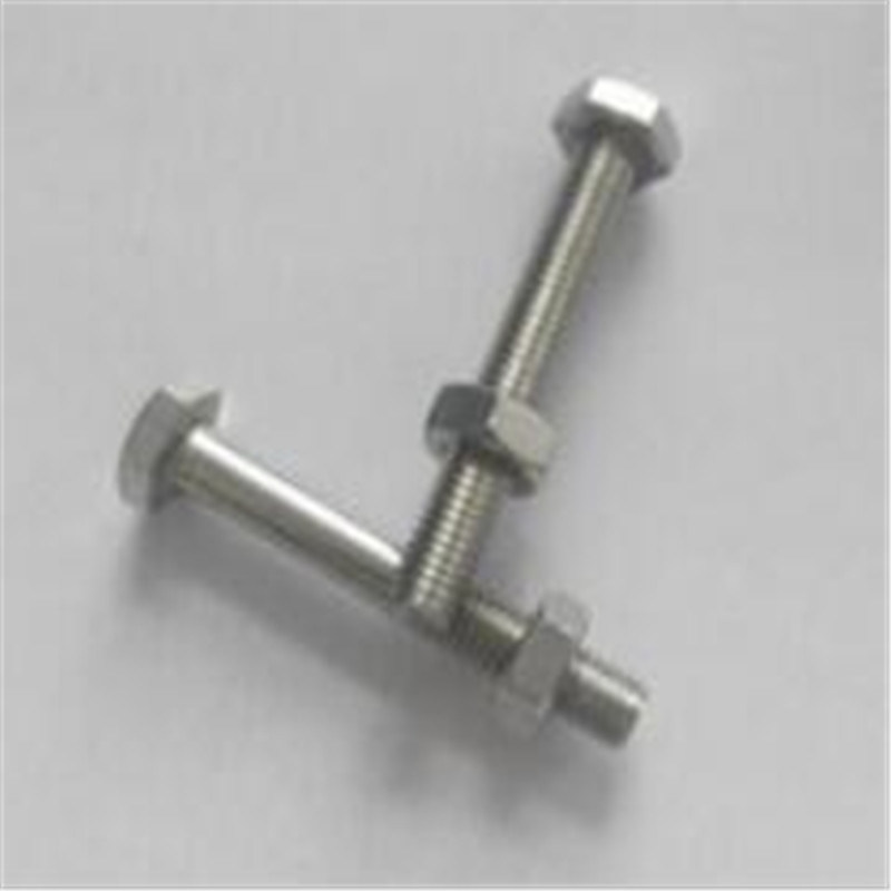 Factory Price Stainless Steel Hexagonal Bolt