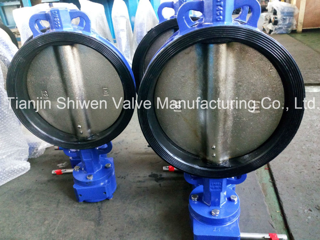 Cast Iron Wafer Butterfly Valve with Gear Actuator