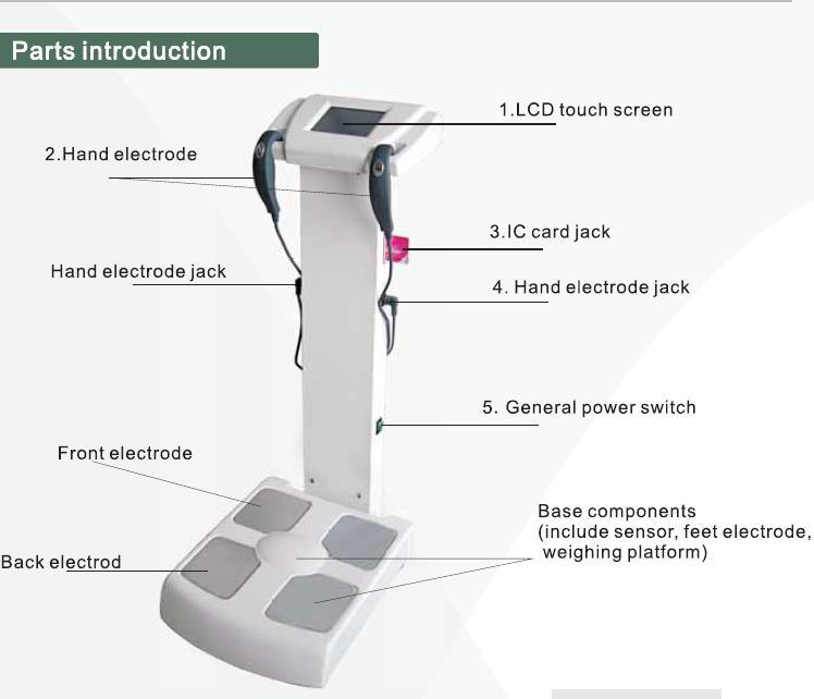 Full Human Body Test Analyzer Factory/ Humanbody Composition Analyzer Machine Body Fat Testing and Muscle Detection Test Propor