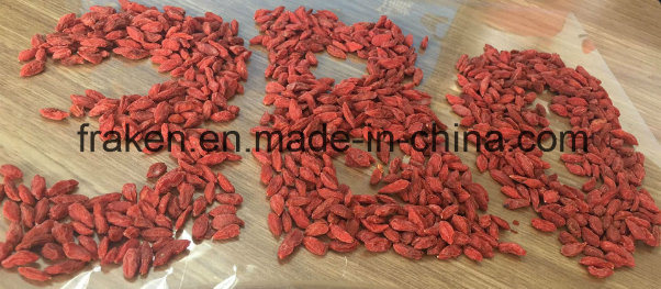 High Quality Dried Wolfberry / Goji Berry