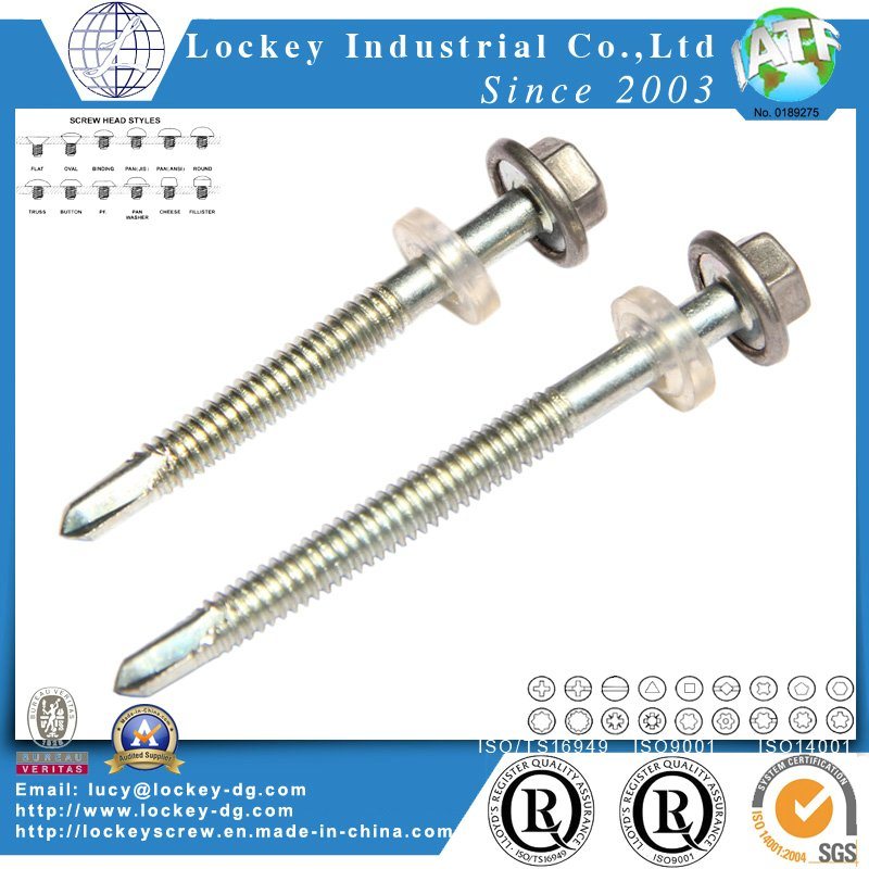 Stainless Steel 316 Hex Washer Head Self Drilling Screw