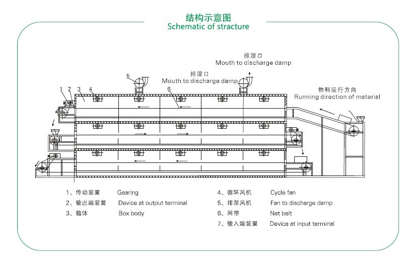 Continuous Fruit Vegetable Belt Drying Machine