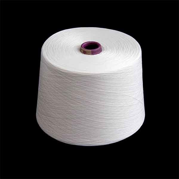 Ring Spun Polyester Yarn for Knitting