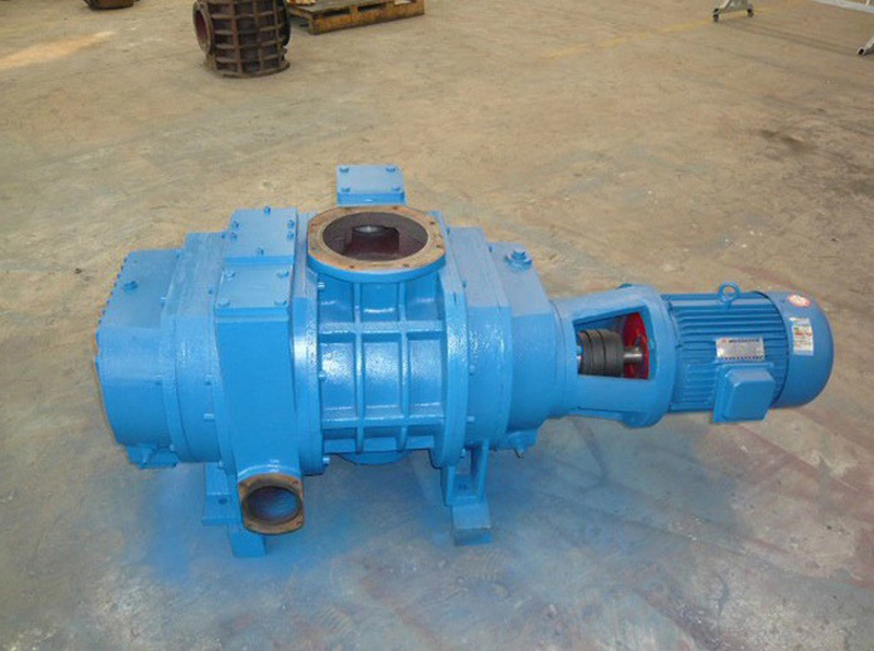 High Quality Zjp Electric Coating Roots Water Vacuum Pump