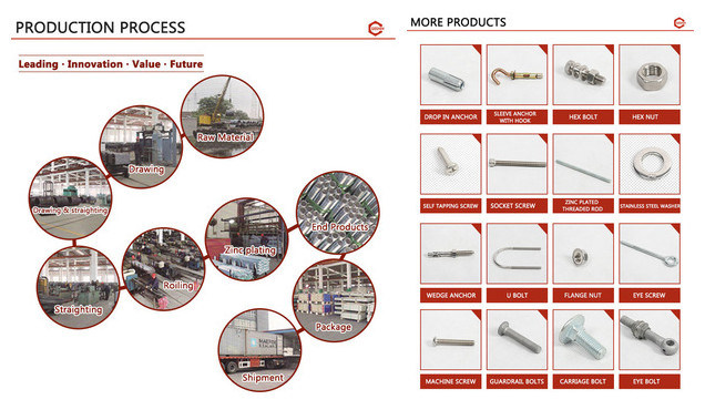 Customized T Head Bolt / Non-Standard Bolt