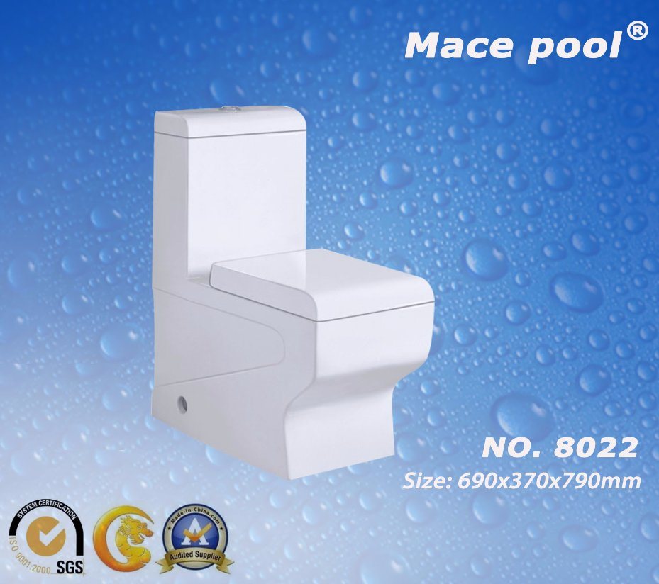 Bathroom Sanitary Ware Water Closet One-Piece Toilet (8022)