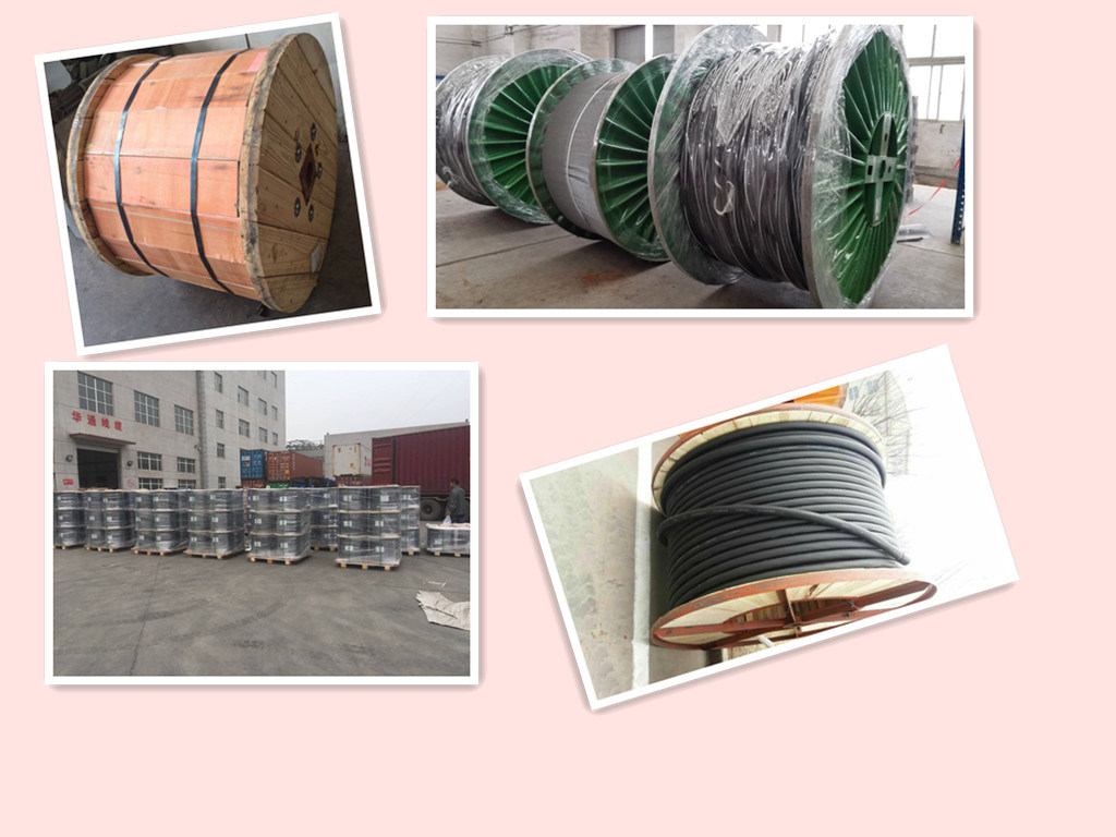 600V 500 Mcm Aluminum Alloy Conductor PVC Insulation Nylon Sheath Wire