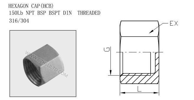 304L or 316L Stainless Steel Pipe Fittings Female Hexagon Cap