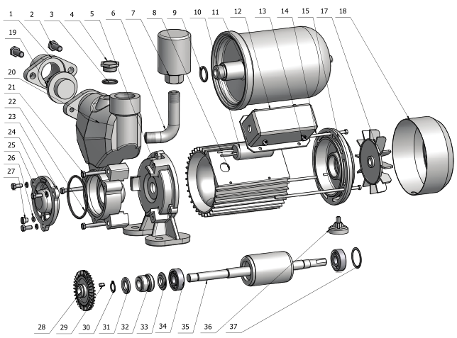 Single Phase Small Smart Intelligent Auotmatic Vortex Water Pump