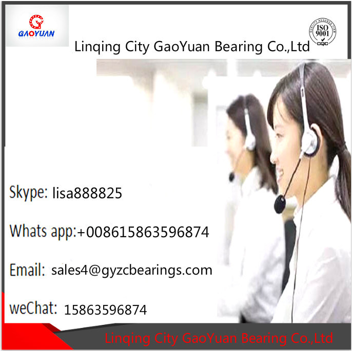 609 609zz 609 2RS Ceramic Deep Groove Ball Bearing Made in China