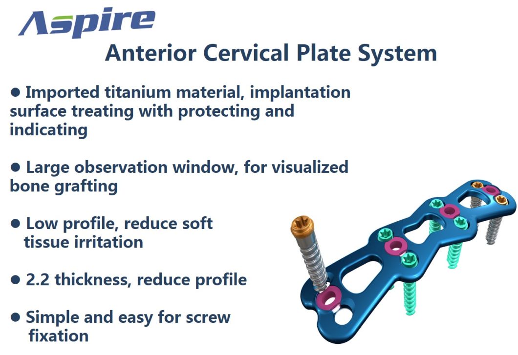 Self-Tapping Variable-Angle Screw of Spine Fixation System