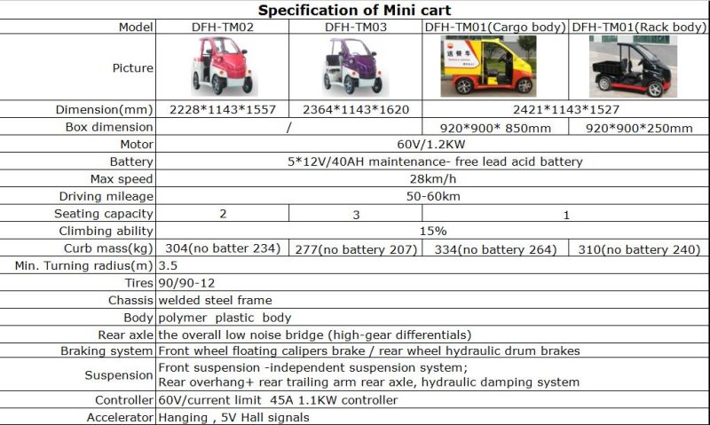 Ce Certificated Low Speed Mini Electric Van for Sale