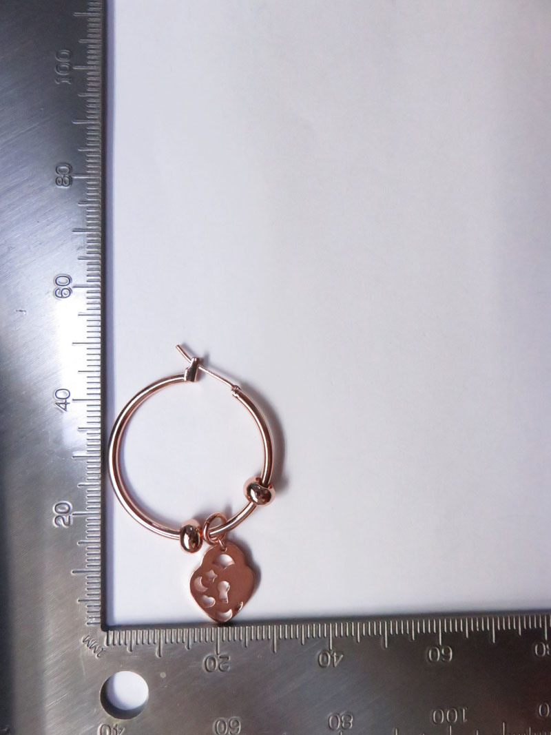 Strawberry Shape Fruit Shape Ear Pendant Rose Gold Plating Simple Elegant Design Christmas Gift Earring