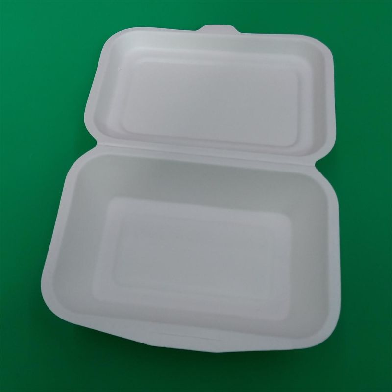 Disposable Biodegradable Sugarcane Bagasse Paper Tableware