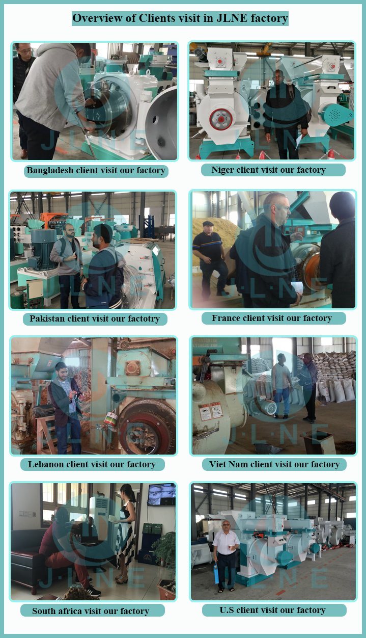 Lead Ring Die Wood/Rice Husk Pellets Granulating Making Machine