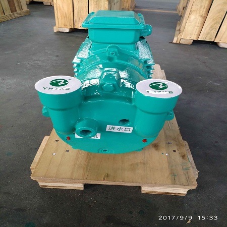 2BV2 071 Vacuum Pump for Wood Plate Extrusion Line