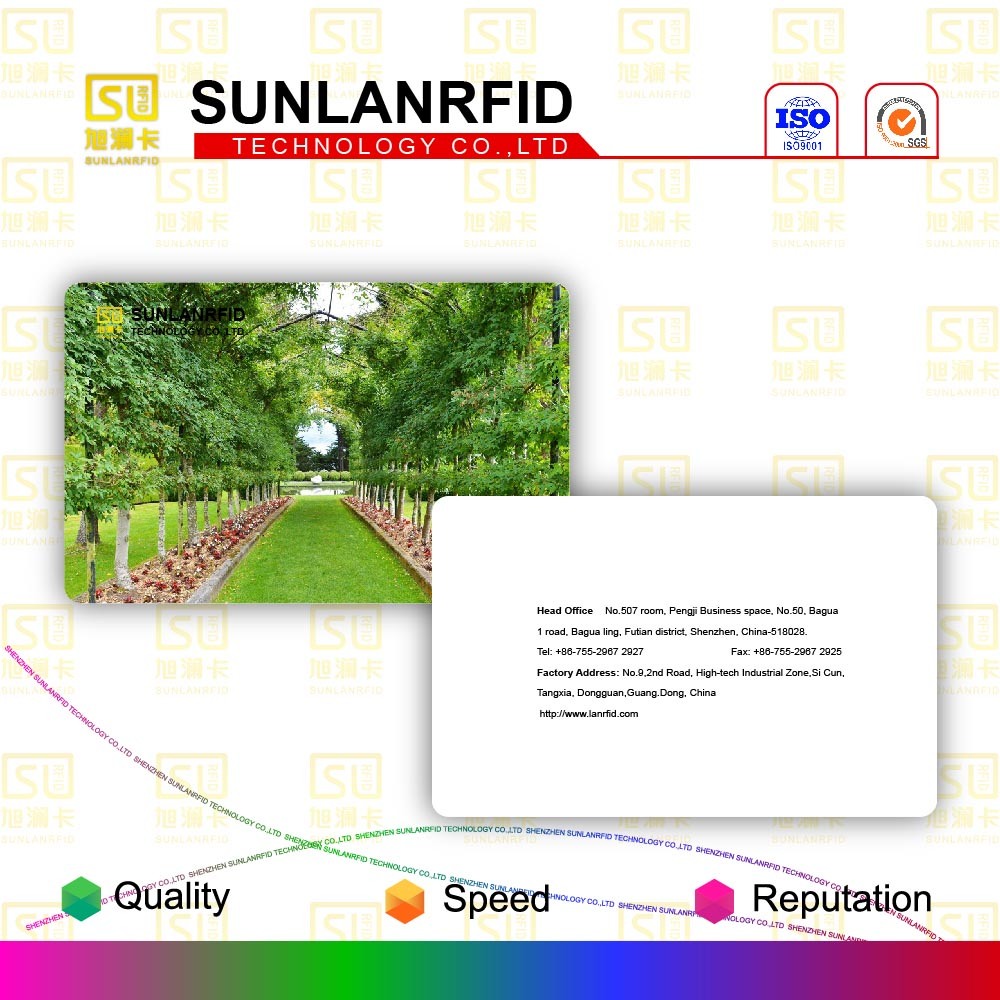 Sunlanrfid Irregular Shape Nfc Epoxy Smart Card