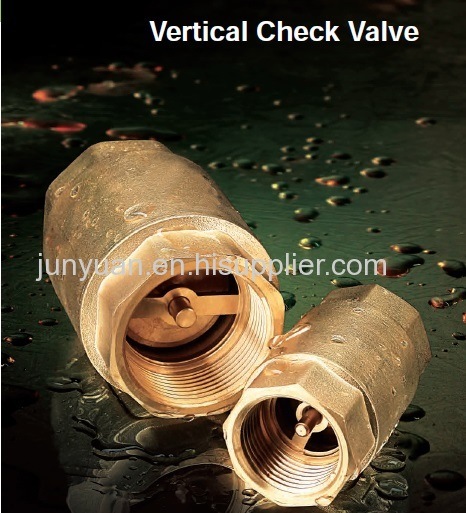 Brass Spring Swing Check Valve with ISO/ Brass Water Valve