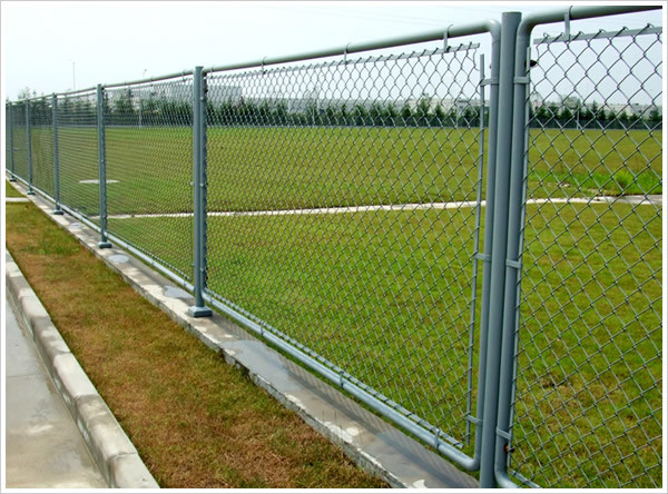 Lower Price Useful Galvanized Chain Link Fence / PVC Coated Fencing China Golden Supplier