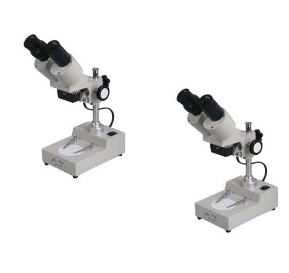 Microscope for Laboratory Use /Stereo Microscope /Zoom Stereo Microscope (XTD-2B)